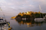 10 Arkoesund